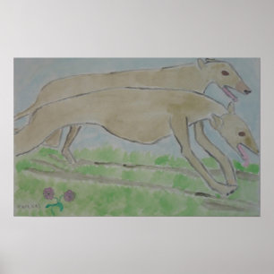 Affiche galgo/greyhound