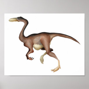 Affiche Gallimimus