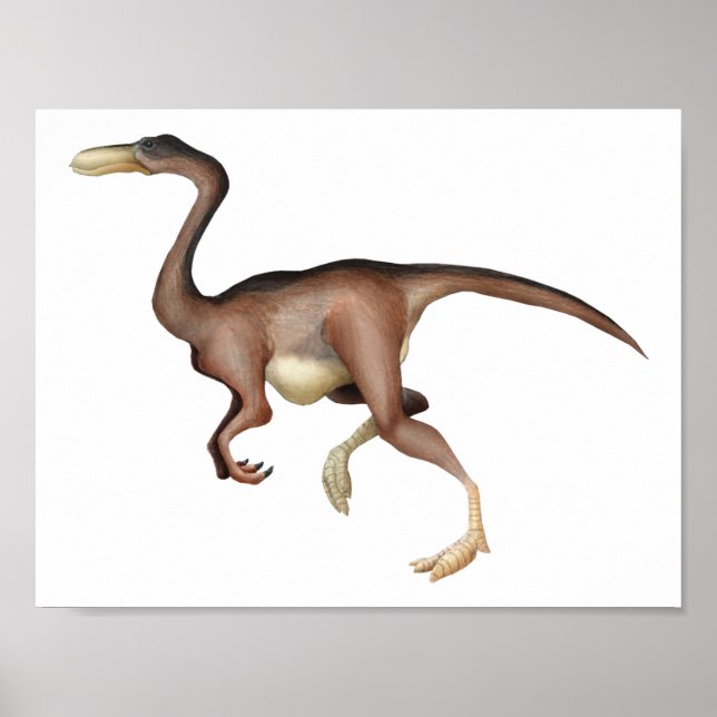 Affiche Gallimimus (Devant)