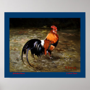 Affiche Gallo/Galo/Rooster