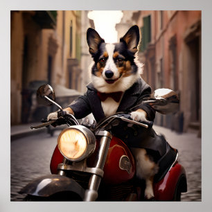Affiche Gallois Corgi course dans les rues de Rome sur une