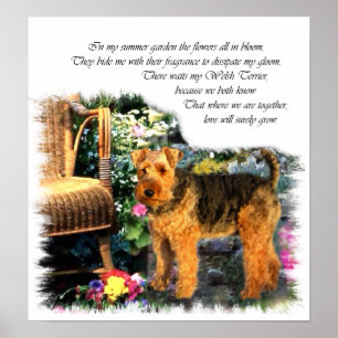 Affiche Gallois Terrier Art Print