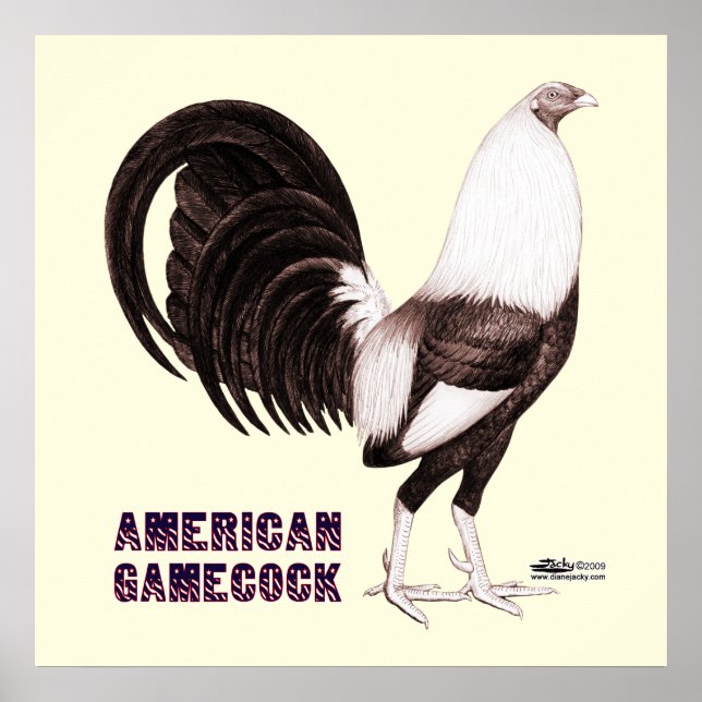 Affiche Gamecock Sepia (Devant)