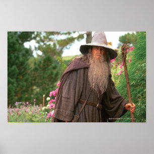 Affiche GANDALF™ avec le casquette