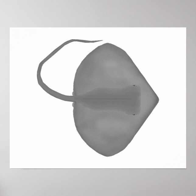 Affiche Ganges Stingray (Devant)