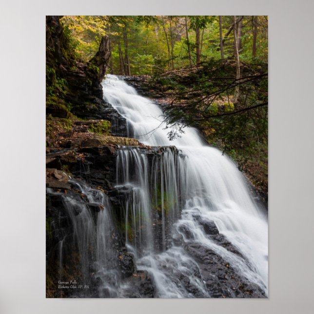 Affiche Ganoga Falls 11"x14" (Devant)