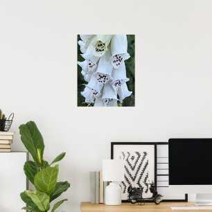 Affiche Gant de Renard Blanc aux Taches Roses Floral