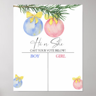 Affiche Garçon ou fille que nous connaissons le sexe révél