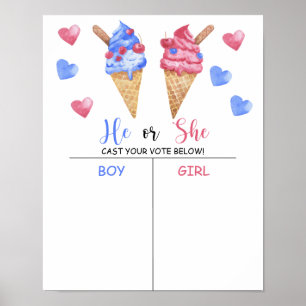 Affiche Garçon ou fille que nous connaissons le sexe révél