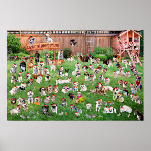 Affiche Garde supérieure 2015 de lapin de carotte