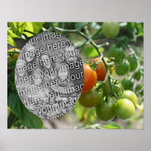 Affiche Garden Cherry Tomates Ajouter Votre Photo