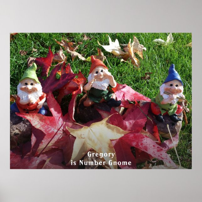 Affiche Garden Gnomes You Are Number Gnome Ajouter Nom Fal (Devant)