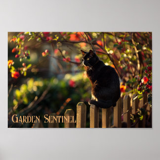 Affiche Garden Sentinel : Chat noir en fleur