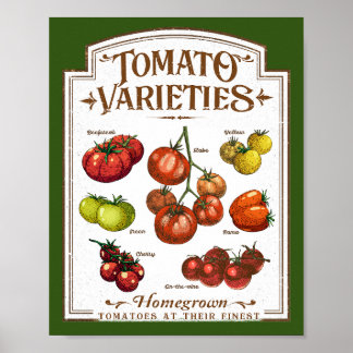 Affiche Gardener de tomates, jardinage de tomates végétale