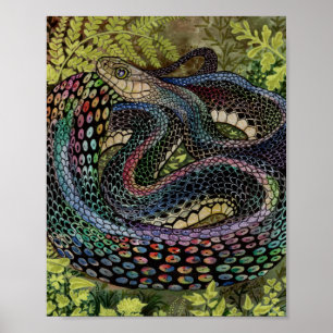 Affiche Gardener Snake Study Beyond the Skin