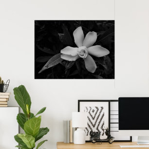 Affiche Gardenia - noir