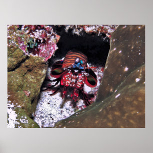 Affiche Garder l'entrée