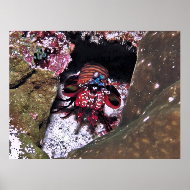 Affiche Garder l'entrée (Devant)