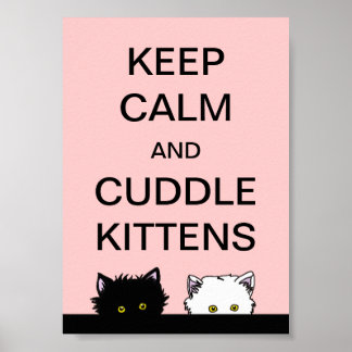 Affiche Garder les chatons calmes
