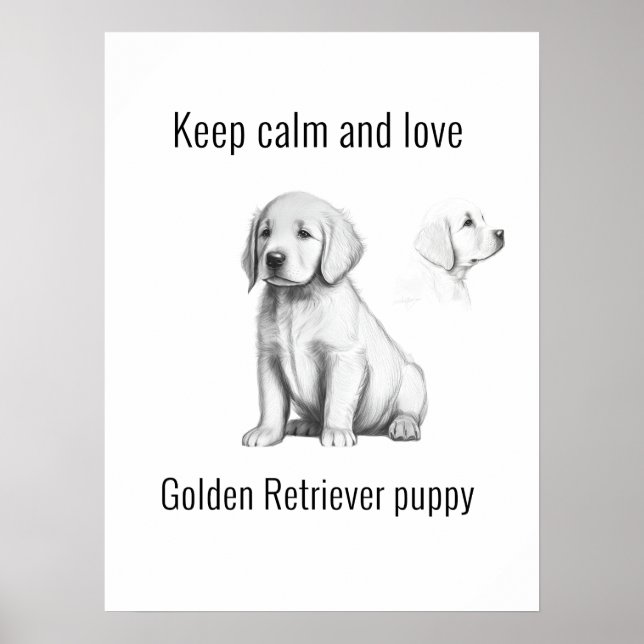 Affiche Gardez calme et amour Golden Retriever chiot (Devant)