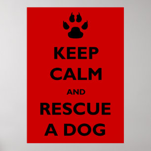 Affiche Gardez la délivrance calme de chien