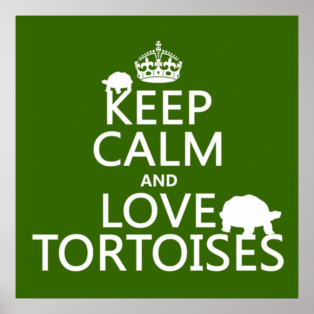 Affiche Gardez le calme et l'amour Tortoises (n'importe qu (Devant)