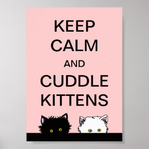 Affiche Gardez les chatons calmes