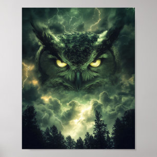 Affiche Gardien de la chouette de tempête