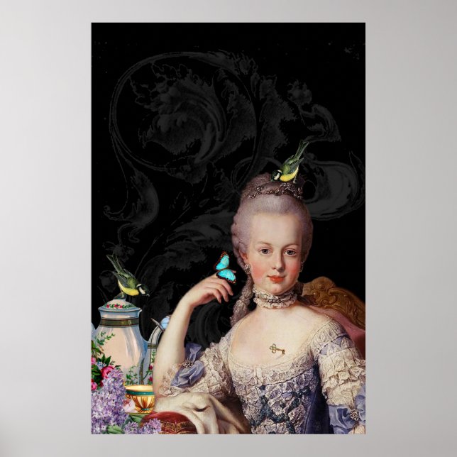 Affiche Gardienne secrète Whimsical Marie Antoinette (Devant)