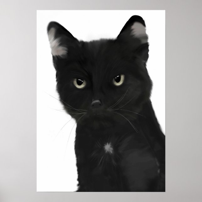 Affiche Gary le chat noir (Devant)