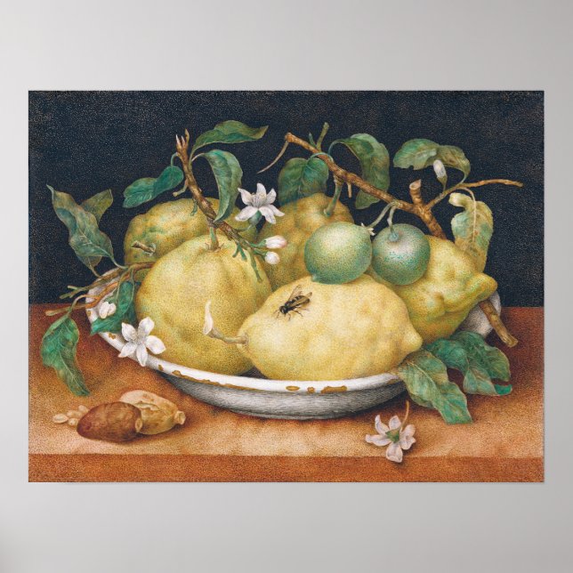 Affiche Garzoni - Nature morte avec bol de citrons (Devant)