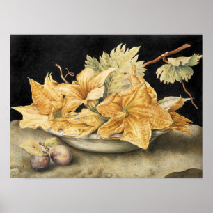 Affiche Garzoni - Nature morte avec fleurs de citrouille e