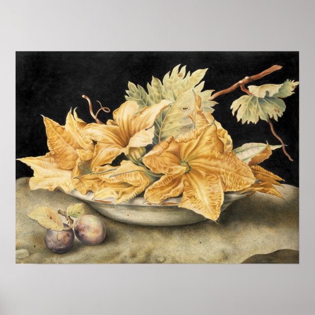 Affiche Garzoni - Nature morte avec fleurs de citrouille e (Devant)