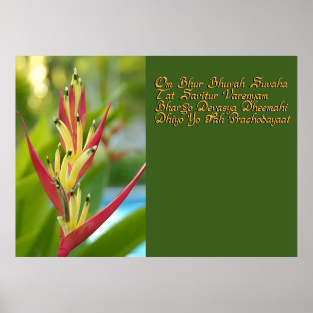 Affiche Gayatri mantra (Devant)