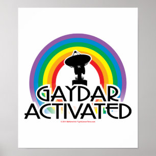 Affiche Gaydar activé