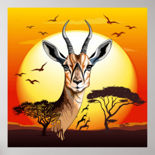 Affiche Gazelle Antelope africaine animal sauvage