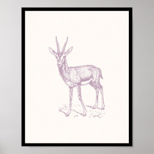 Affiche Gazelle Deer
