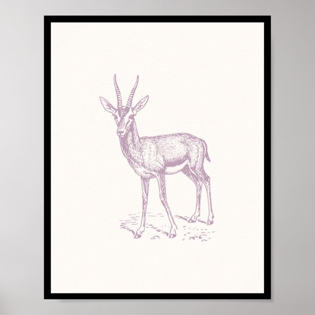 Affiche Gazelle Deer (Devant)