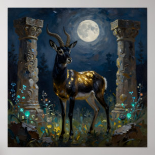 Affiche Gazelle noire et dorée Illustration de la faune