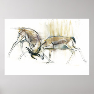 Affiche Gazelles de sable 2009