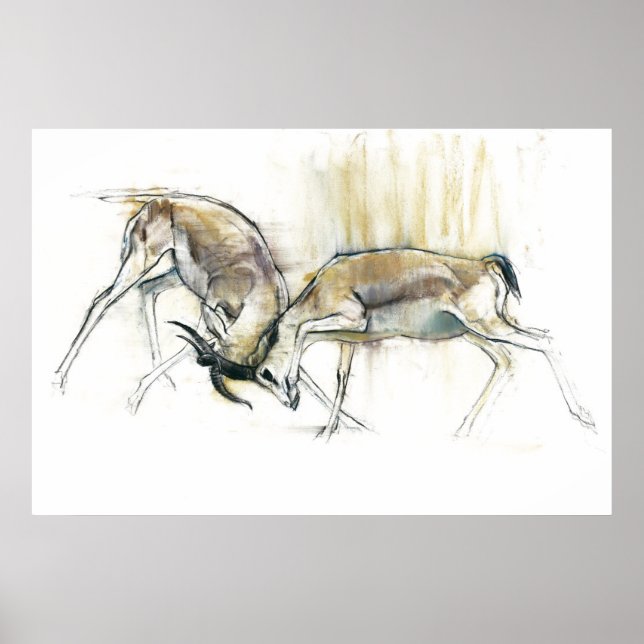 Affiche Gazelles de sable 2009 (Devant)