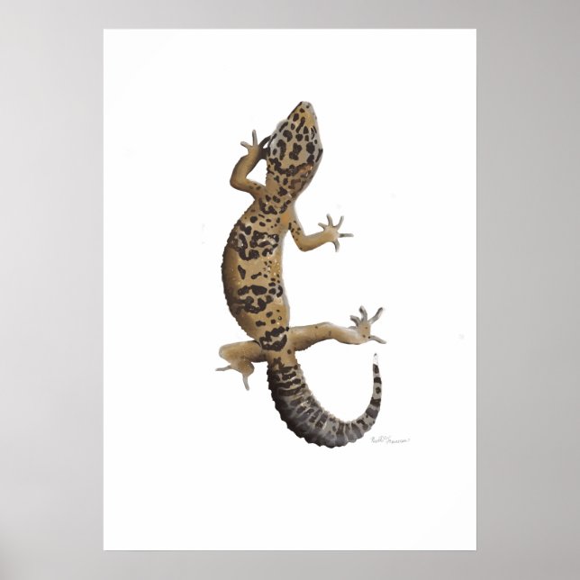 Affiche Gecko léopard (Devant)