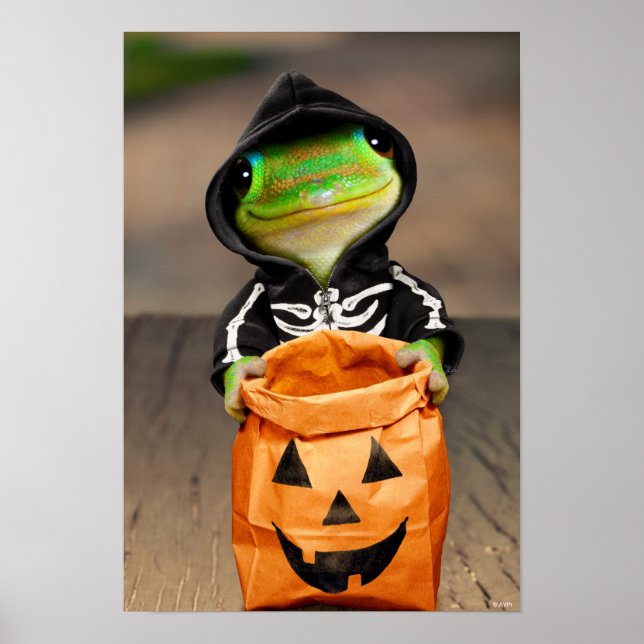 Affiche Gecko Skeleton (Devant)