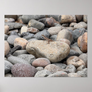 Affiche Gecko sur les rochers s'il vous plaît