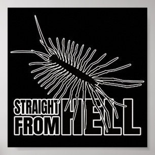 Affiche Geek de l'Entomologie de Chilopod Centipede Millip