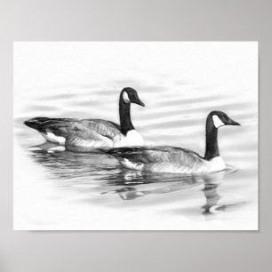 Affiche Geese on Water