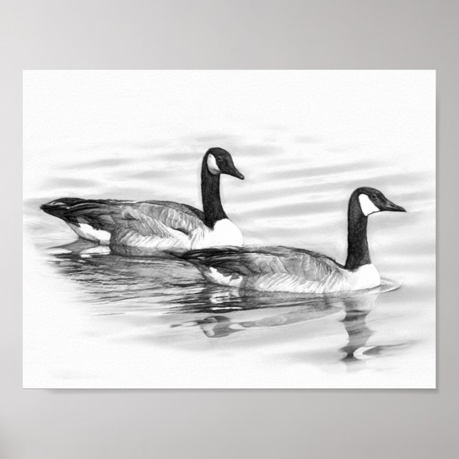 Affiche Geese on Water (Devant)