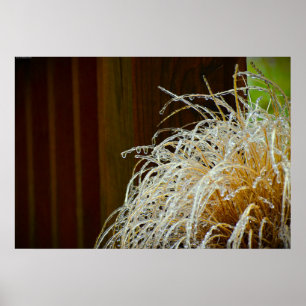 Affiche Gel hivernal,