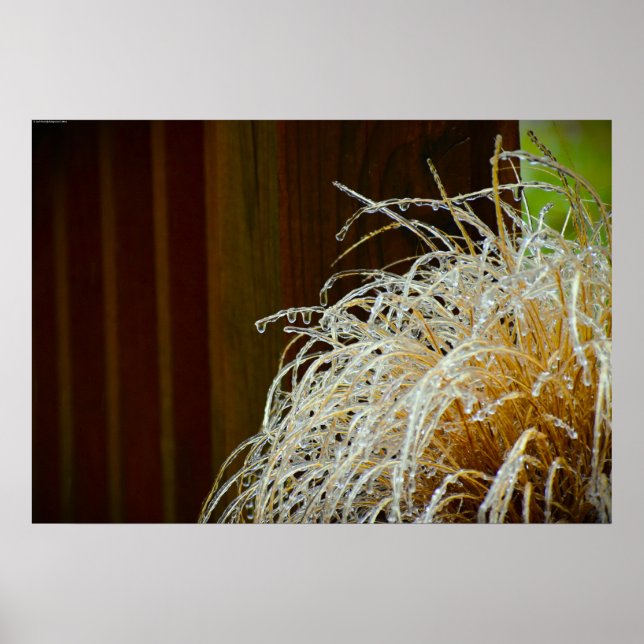 Affiche Gel hivernal, (Devant)