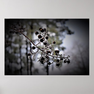 Affiche Gel hivernal,